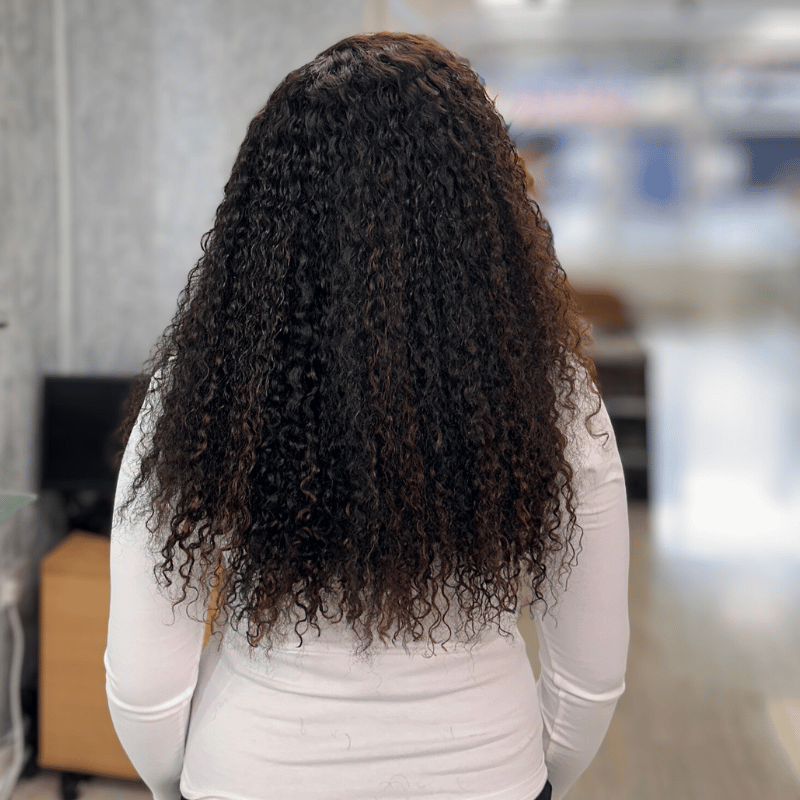 Ray-22” Natural Black Highlight Curly Wig – 6x6 HD Lace Closure Human Hair - estellewigsandmore.co.uk