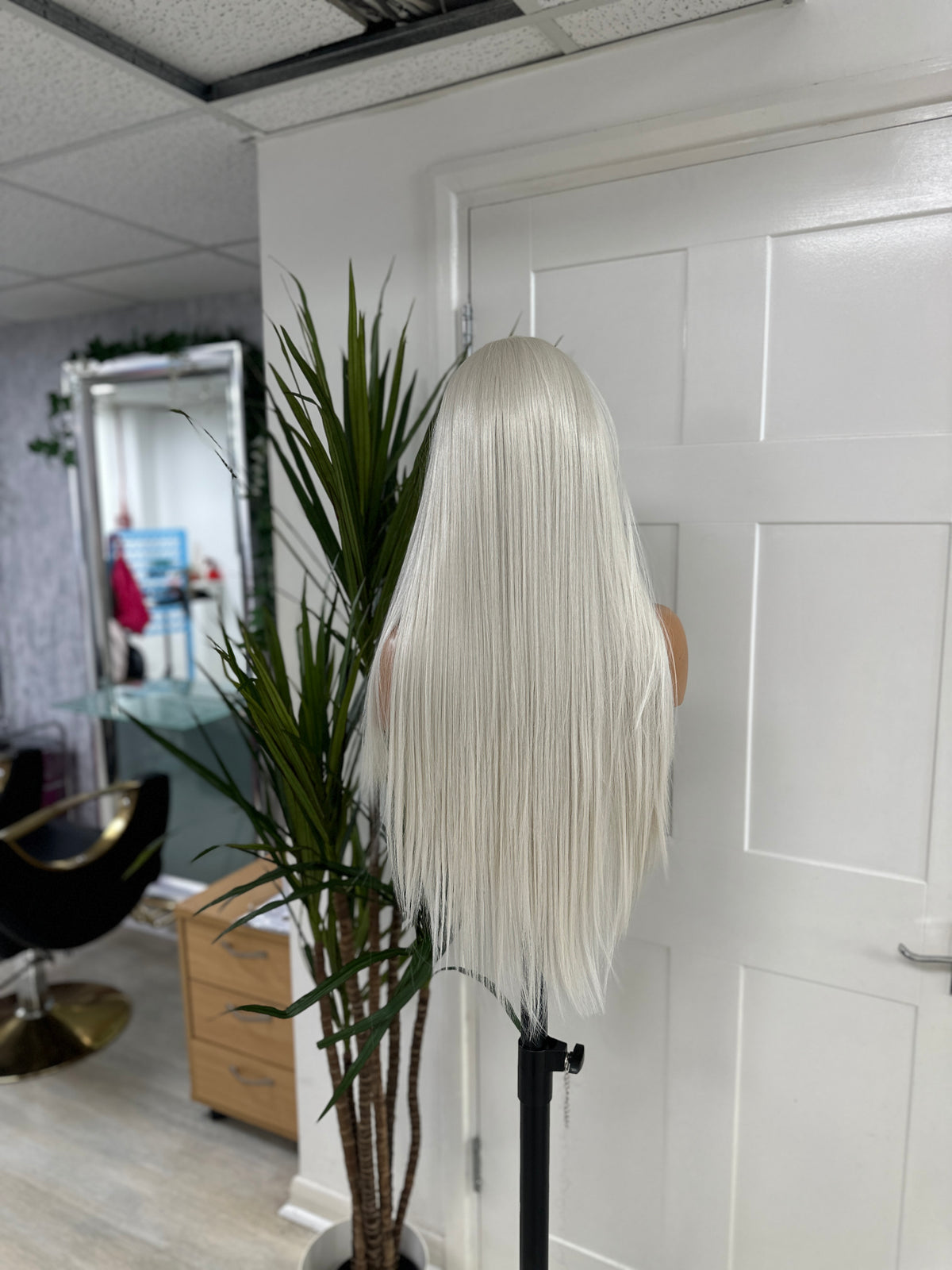 Platinum Blonde Straight Wig | 26” Lace Front-EWD/03 - estellewigsandmore.co.uk