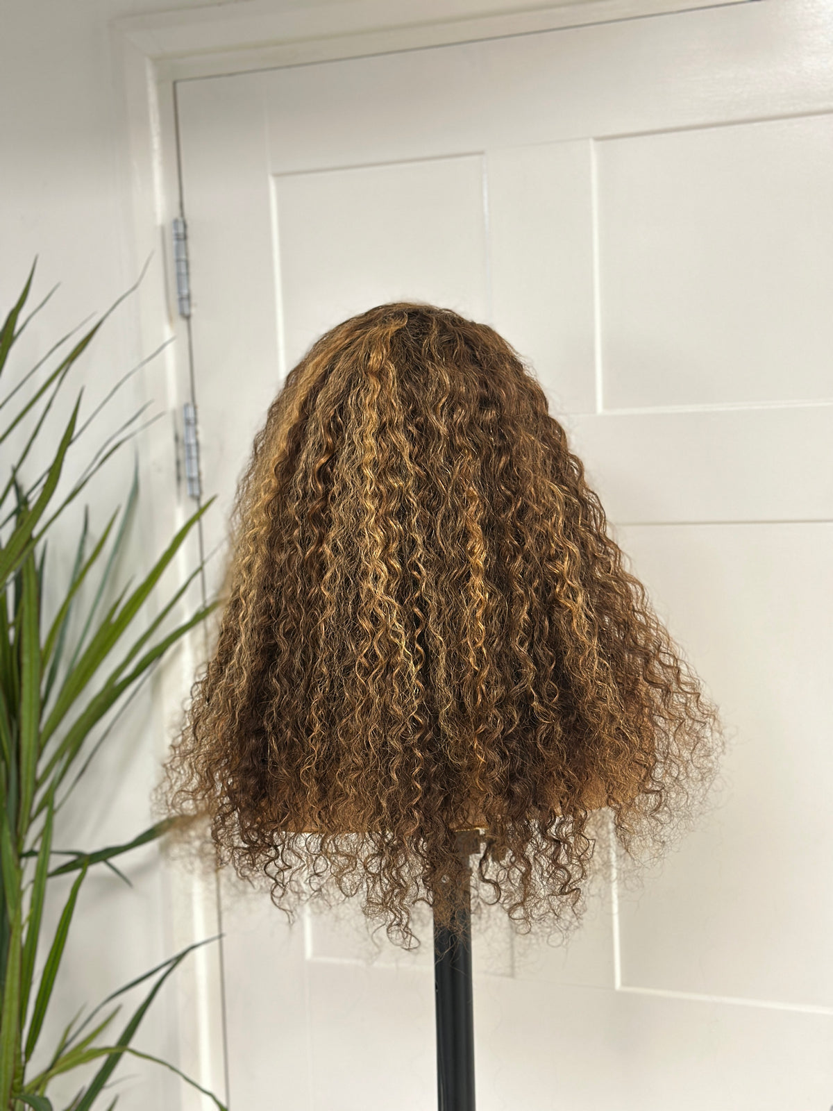 Brown / Blonde Curly Human Hair Lace Front Wig - EWD 52